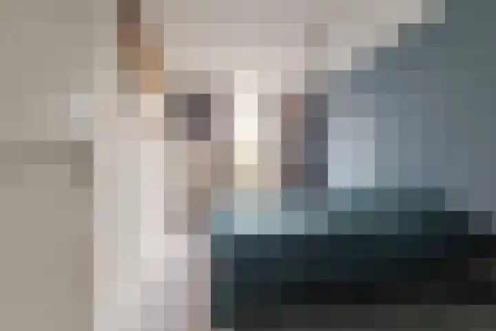 Anna Paulownahof 60 Tilburg thumbnail 22