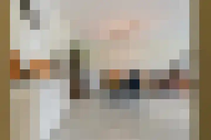 Anna Paulownahof 60 Tilburg thumbnail 30