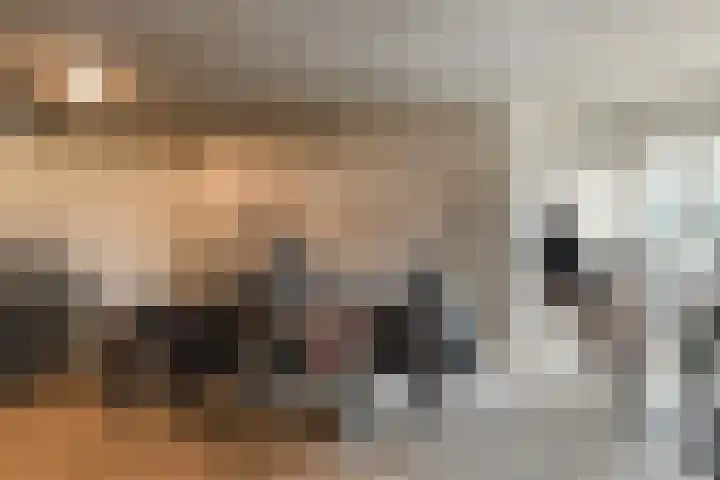 Anna Paulownahof 60 Tilburg thumbnail 36