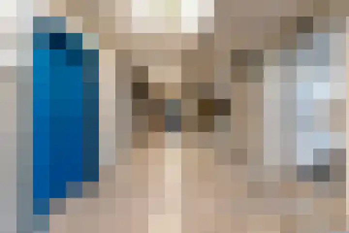 Anna Paulownahof 60 Tilburg thumbnail 40