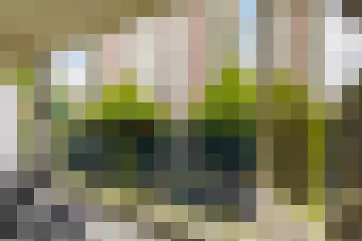 Anna Paulownahof 60 Tilburg thumbnail 5