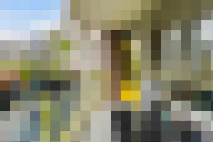Anna Paulownahof 60 Tilburg thumbnail 6