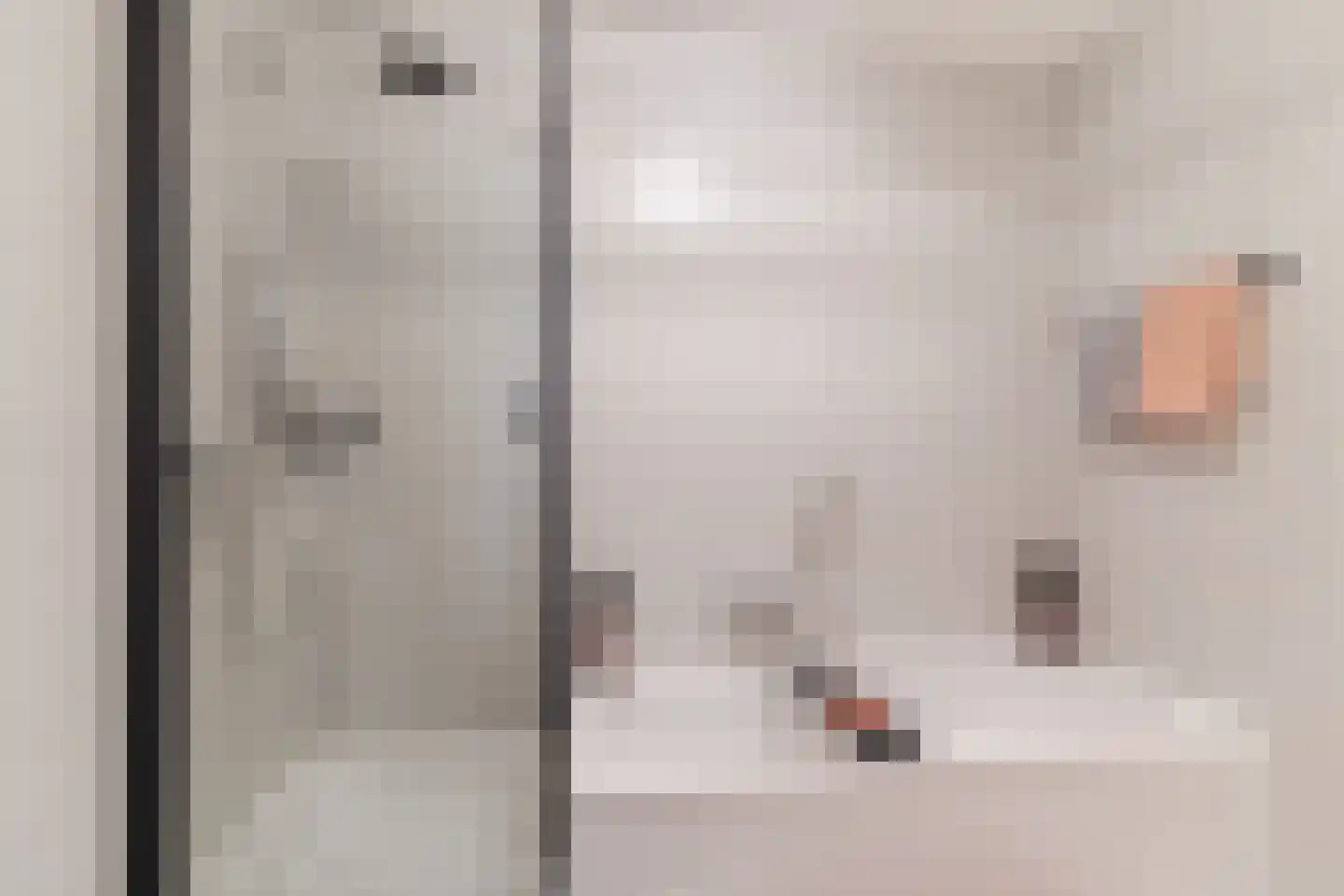 Anna Paulownahof 91 Tilburg thumbnail 19