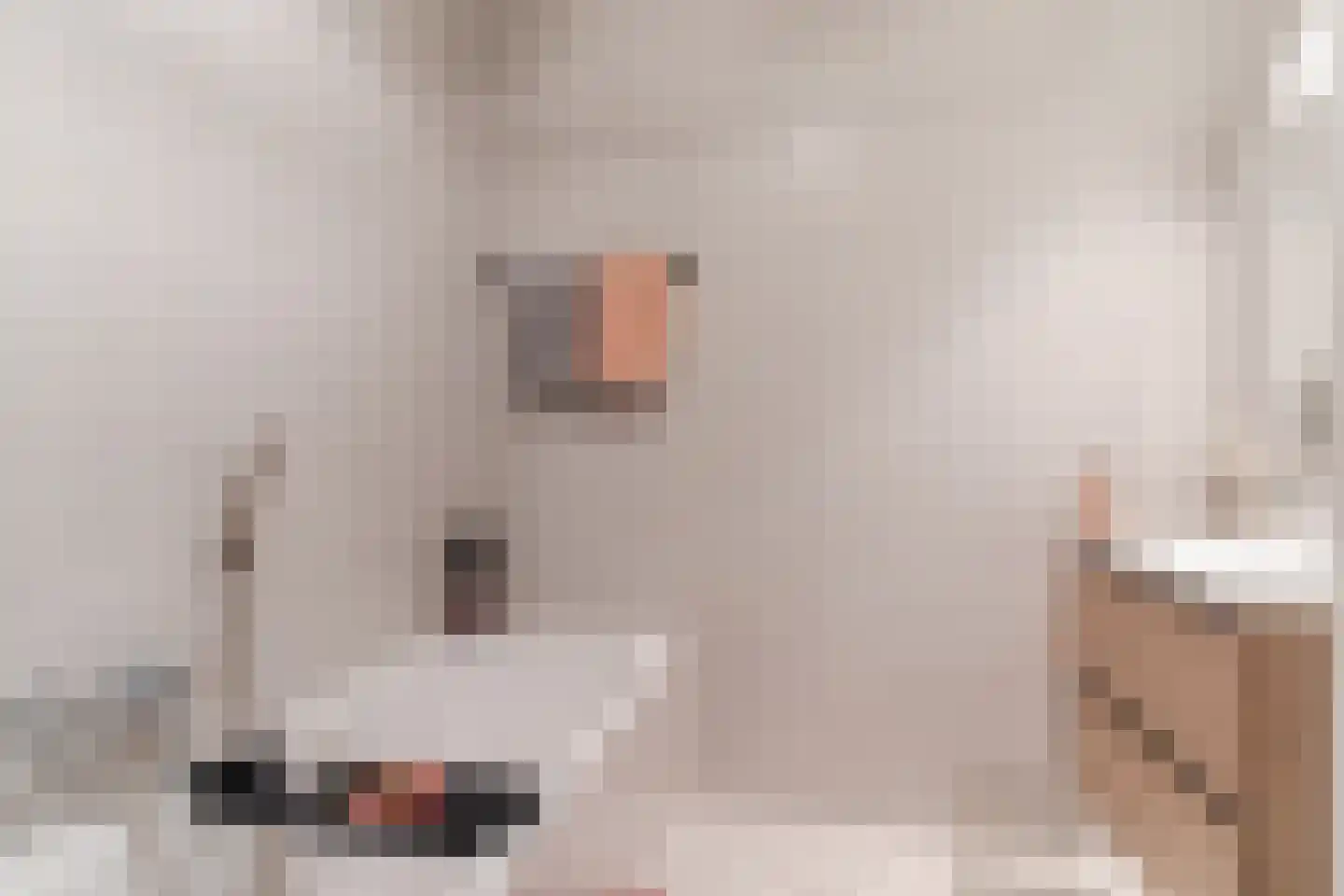 Anna Paulownahof 91 Tilburg thumbnail 20