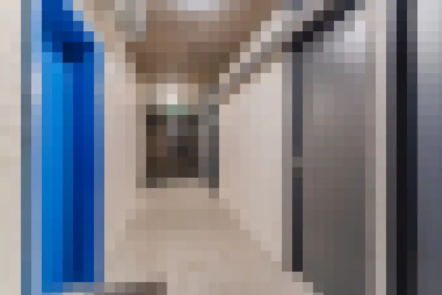 Anna Paulownahof 91 Tilburg thumbnail 23