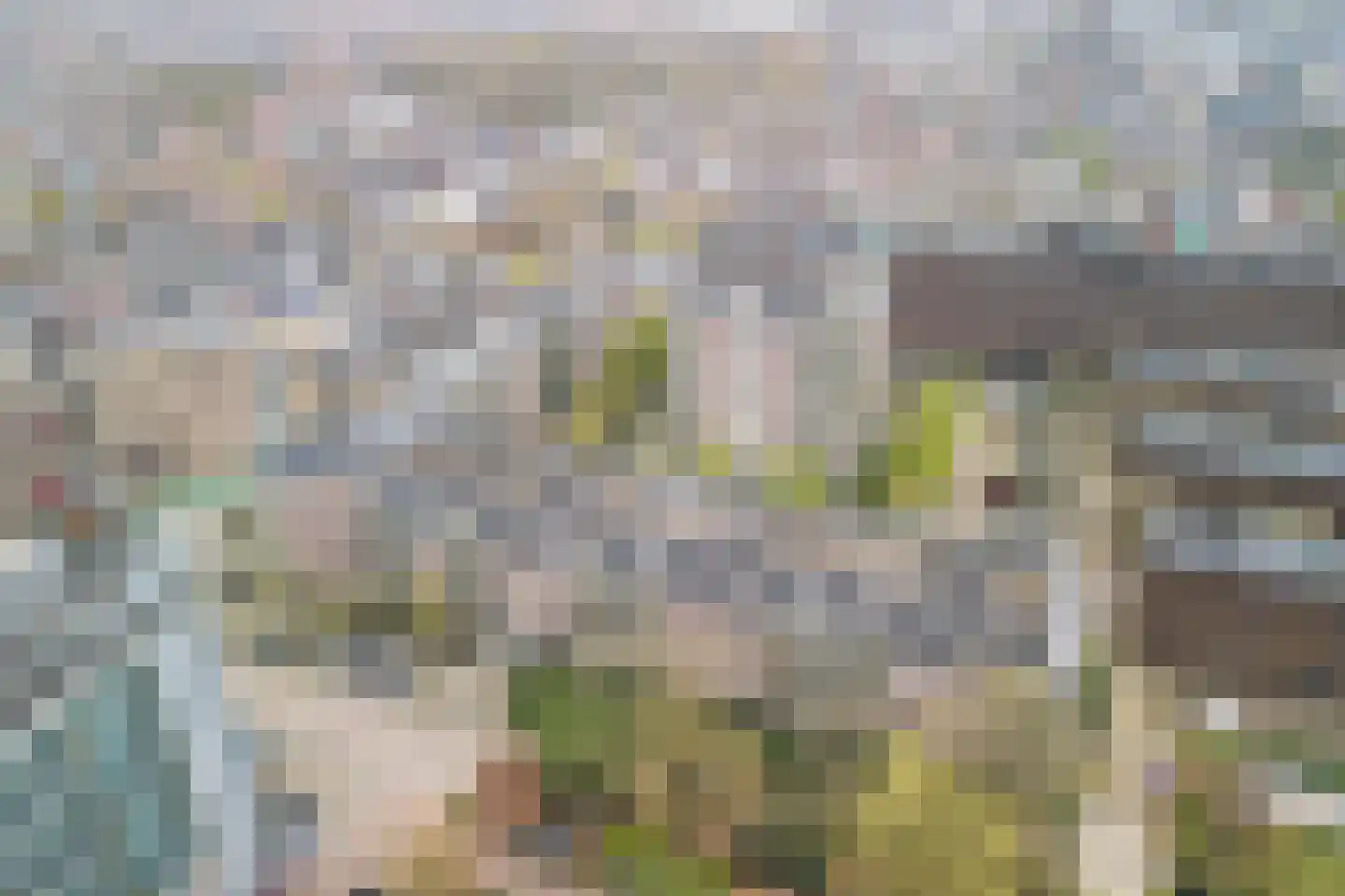 Anna Paulownahof 91 Tilburg thumbnail 27