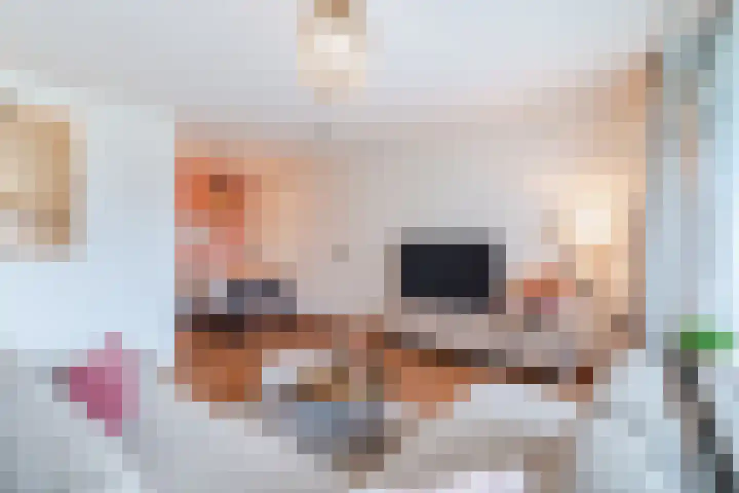 Anna Paulownahof 91 Tilburg thumbnail 5