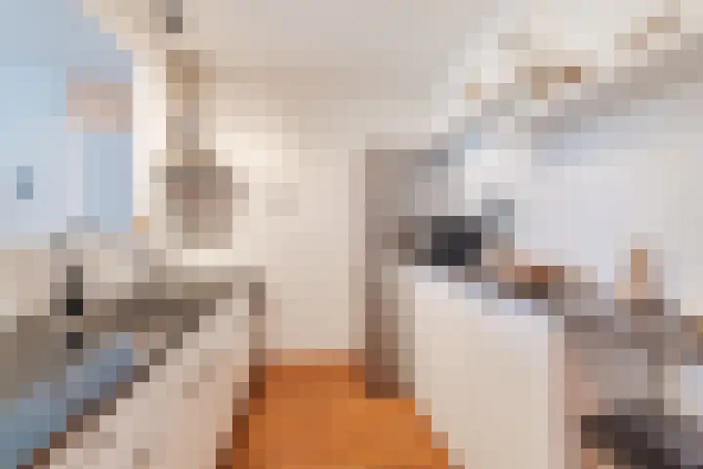 Anna Paulownahof 91 Tilburg thumbnail 6