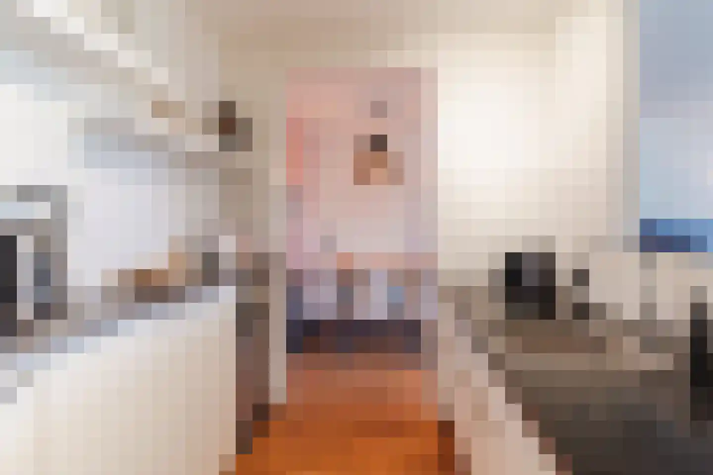 Anna Paulownahof 91 Tilburg thumbnail 8