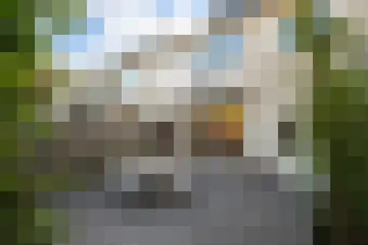 Anna Paulownalaan 11 Naarden thumbnail 4