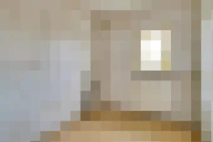 Anna Paulownalaan 12 Waalre thumbnail 13