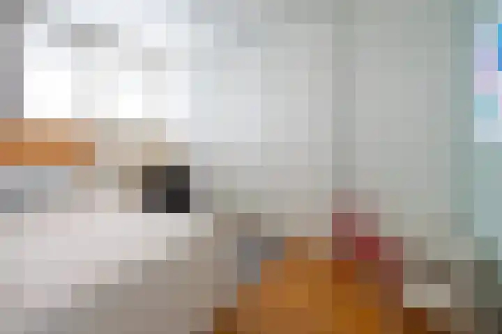 Anna Paulownalaan 130 Zeist thumbnail 10