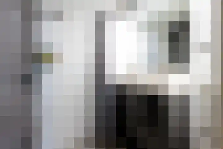 Anna Paulownalaan 130 Zeist thumbnail 12