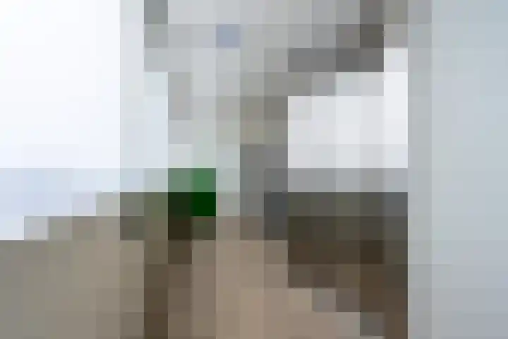 Anna Paulownalaan 130 Zeist thumbnail 16