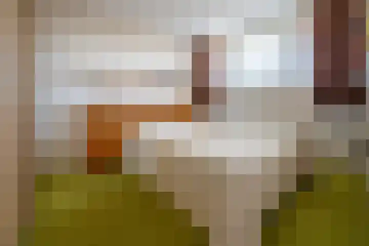 Anna Paulownalaan 152 Zeist thumbnail 15