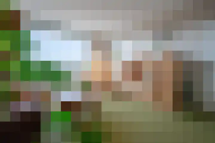 Anna Paulownalaan 152 Zeist thumbnail 4
