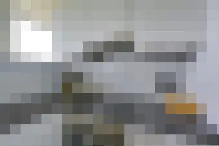 Anna Paulownalaan 164 Zeist thumbnail 11