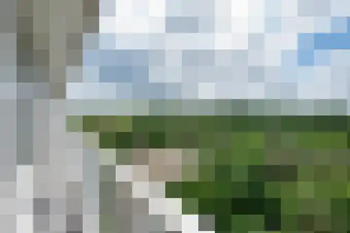 Anna Paulownalaan 164 Zeist thumbnail 19
