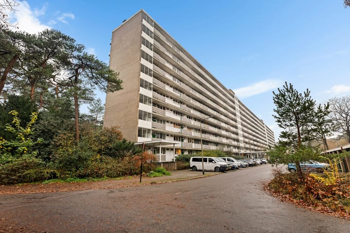 Anna Paulownalaan 170 in Zeist