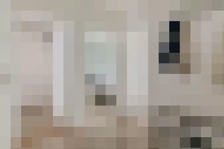 Anna Paulownalaan 170 Zeist thumbnail 13