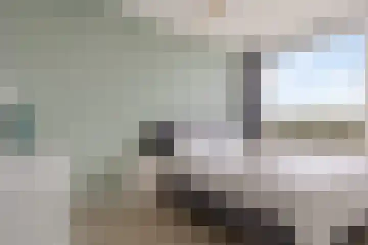 Anna Paulownalaan 170 Zeist thumbnail 15