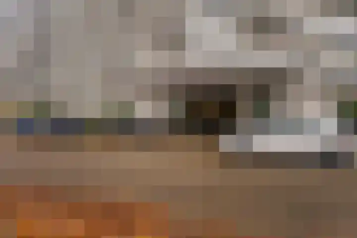 Anna Paulownalaan 170 Zeist thumbnail 4