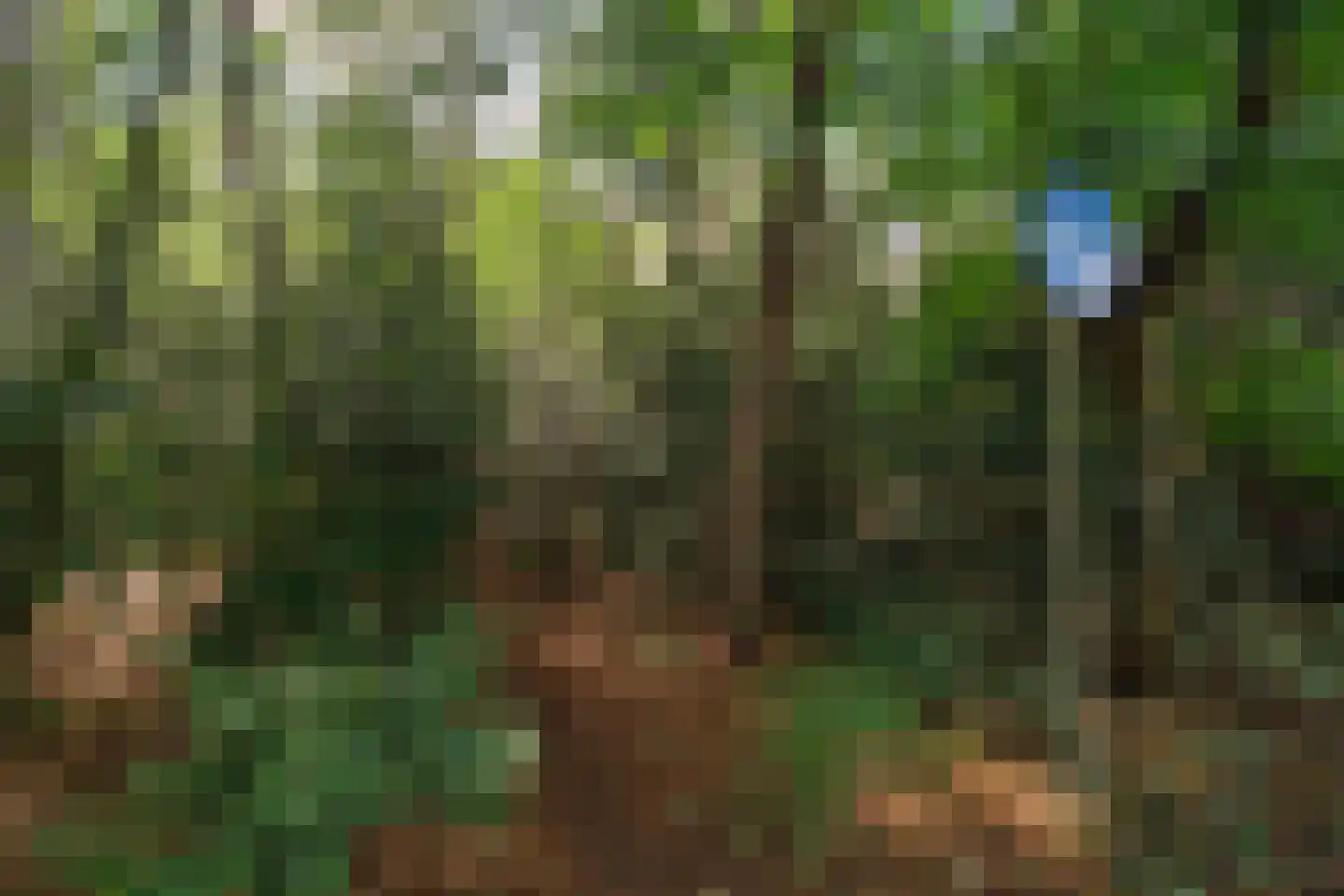 Anna Paulownalaan 174 Zeist thumbnail 22