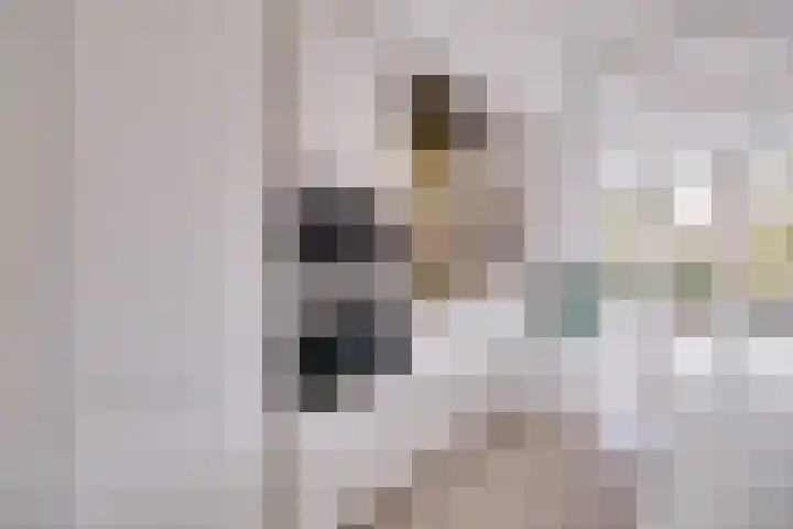 Anna Paulownalaan 18 Apeldoorn thumbnail 10