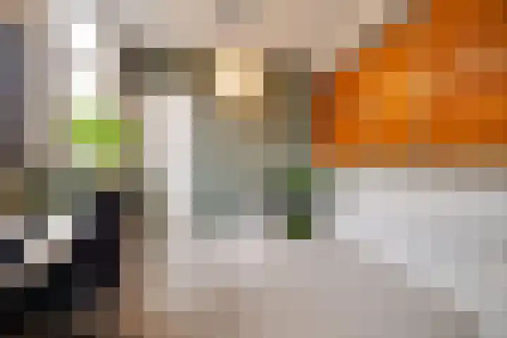 Anna Paulownalaan 18 Apeldoorn thumbnail 17