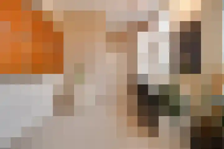 Anna Paulownalaan 18 Apeldoorn thumbnail 18