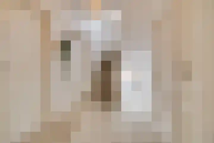 Anna Paulownalaan 18 Apeldoorn thumbnail 22