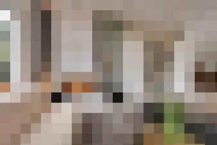 Anna Paulownalaan 18 Apeldoorn thumbnail 4