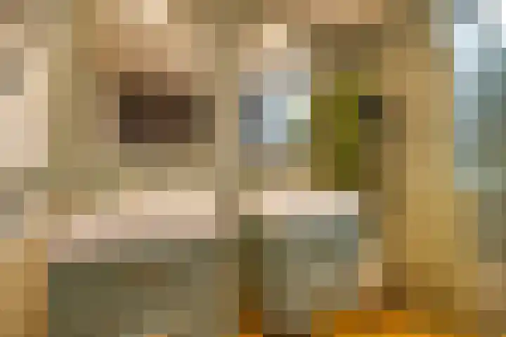 Anna Paulownalaan 18 Apeldoorn thumbnail 42