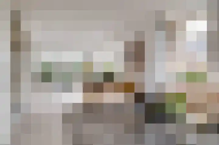 Anna Paulownalaan 18 Apeldoorn thumbnail 5