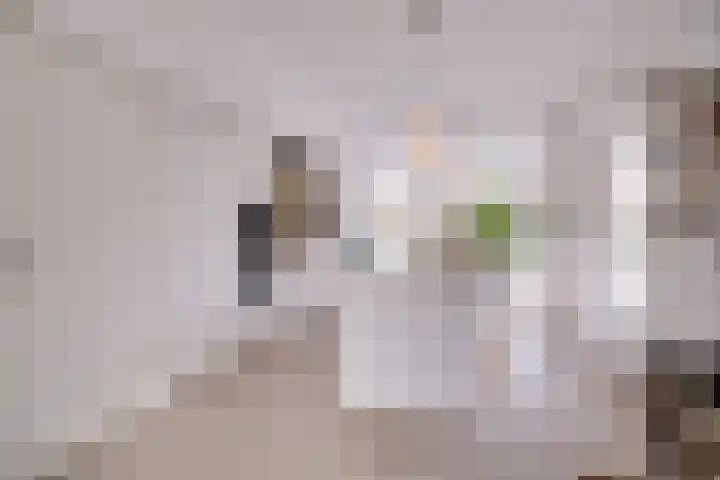 Anna Paulownalaan 18 Apeldoorn thumbnail 8