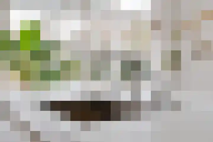 Anna Paulownalaan 18 Apeldoorn thumbnail 9