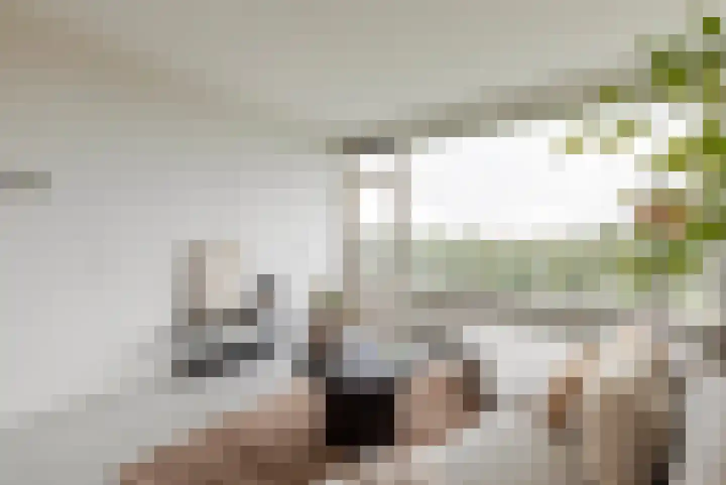 Anna Paulownalaan 187 Zeist thumbnail 6