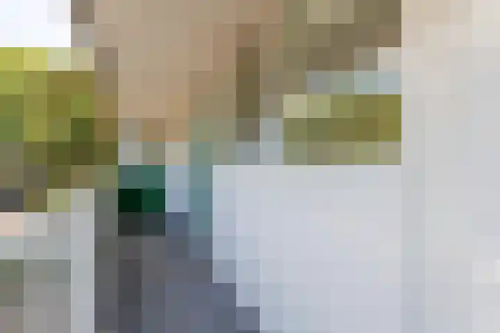 Anna Paulownalaan 21 Zeist thumbnail 16
