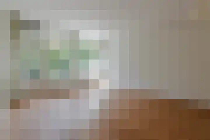 Anna Paulownalaan 21 Zeist thumbnail 4