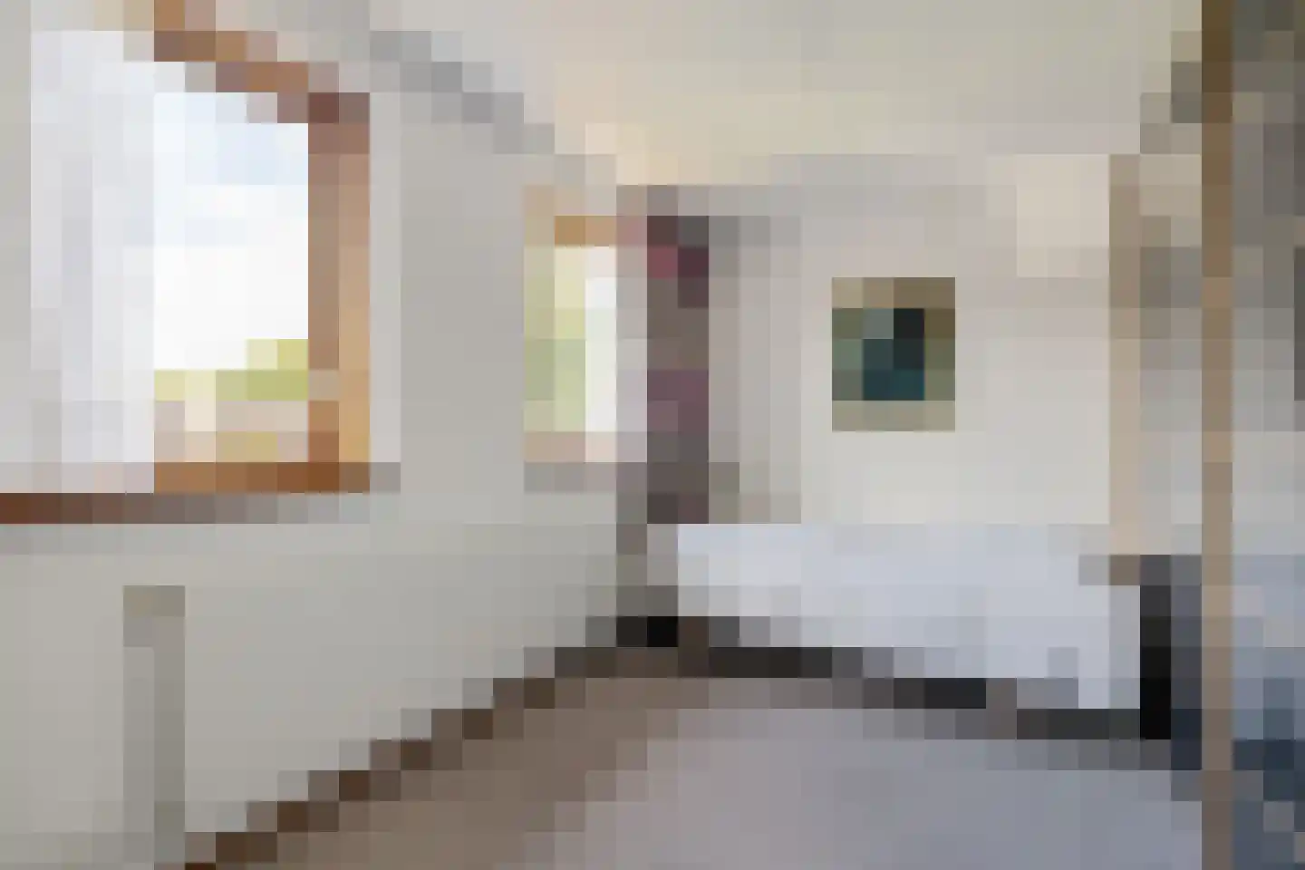 Anna Paulownalaan 24 Emmen thumbnail 26