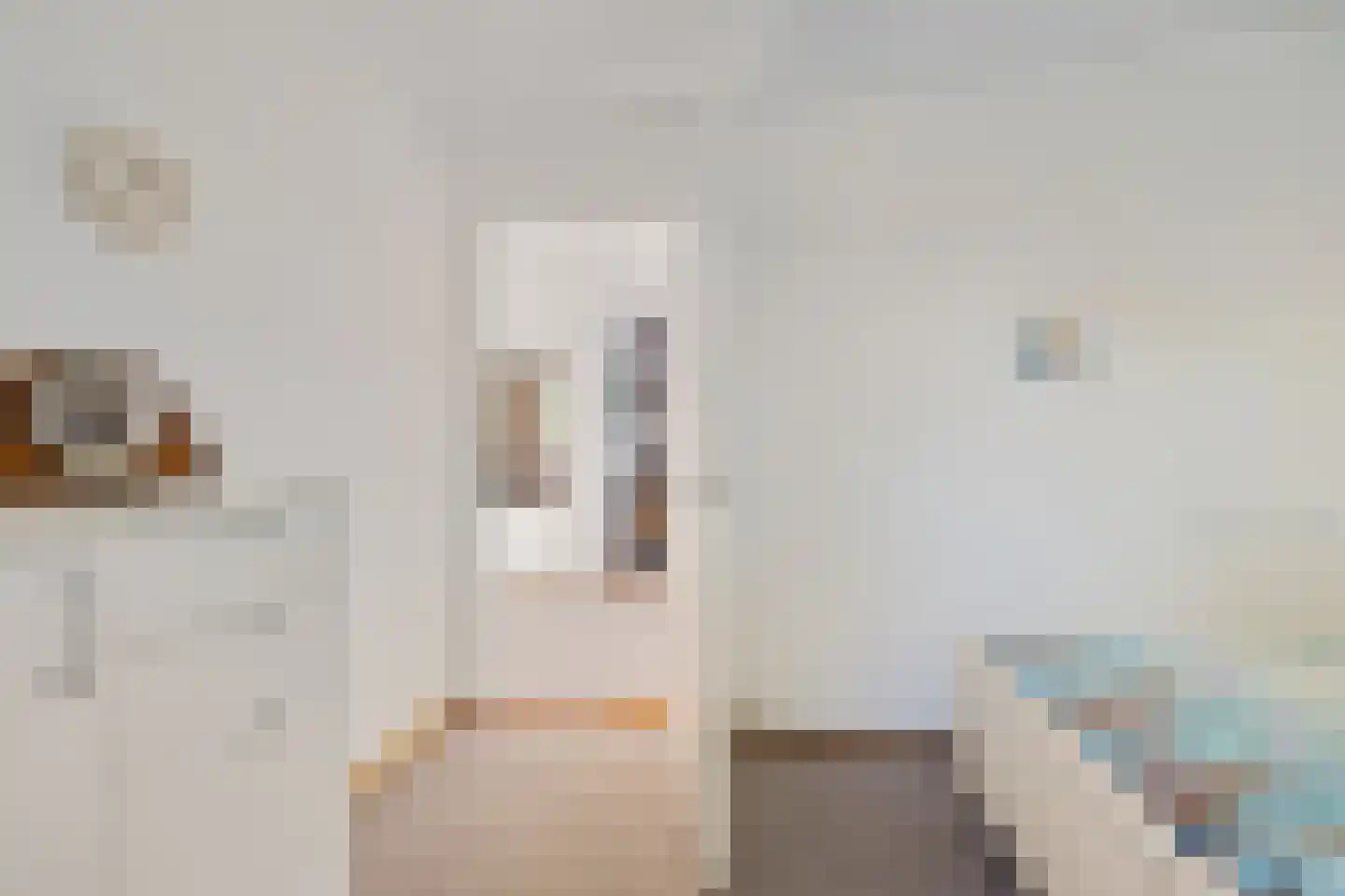 Anna Paulownalaan 24 Emmen thumbnail 28