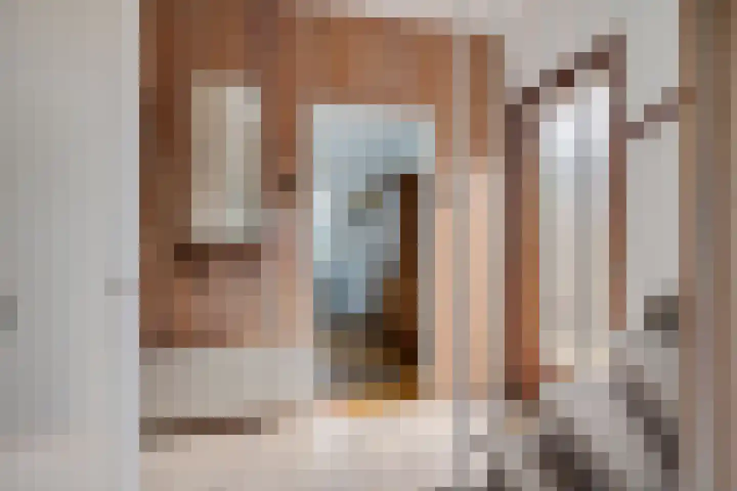 Anna Paulownalaan 24 Emmen thumbnail 8