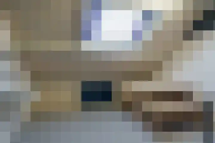 Anna Paulownalaan 26 Waalre thumbnail 33