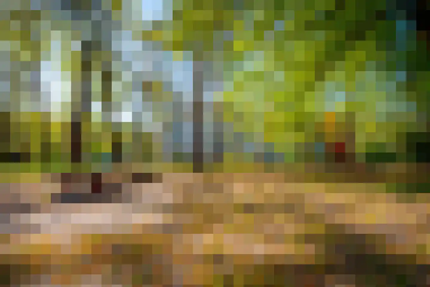 Anna Paulownalaan 55 Zeist thumbnail 24