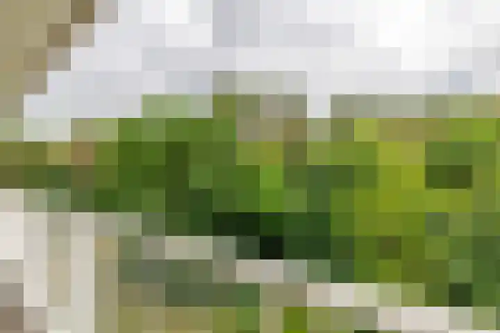 Anna Paulownalaan 65 Zeist thumbnail 13