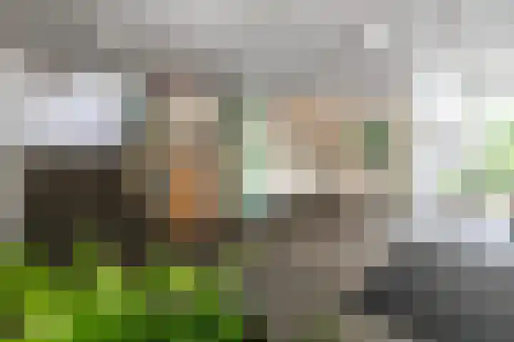 Anna Paulownalaan 65 Zeist thumbnail 19