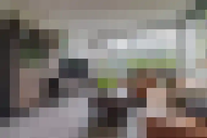Anna Paulownalaan 65 Zeist thumbnail 4