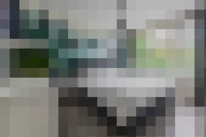 Anna Paulownalaan 65 Zeist thumbnail 9
