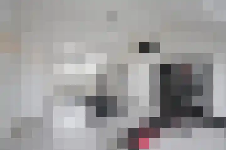 Anna Paulownalaan 7 Naarden thumbnail 15