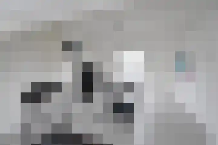 Anna Paulownalaan 7 Naarden thumbnail 16
